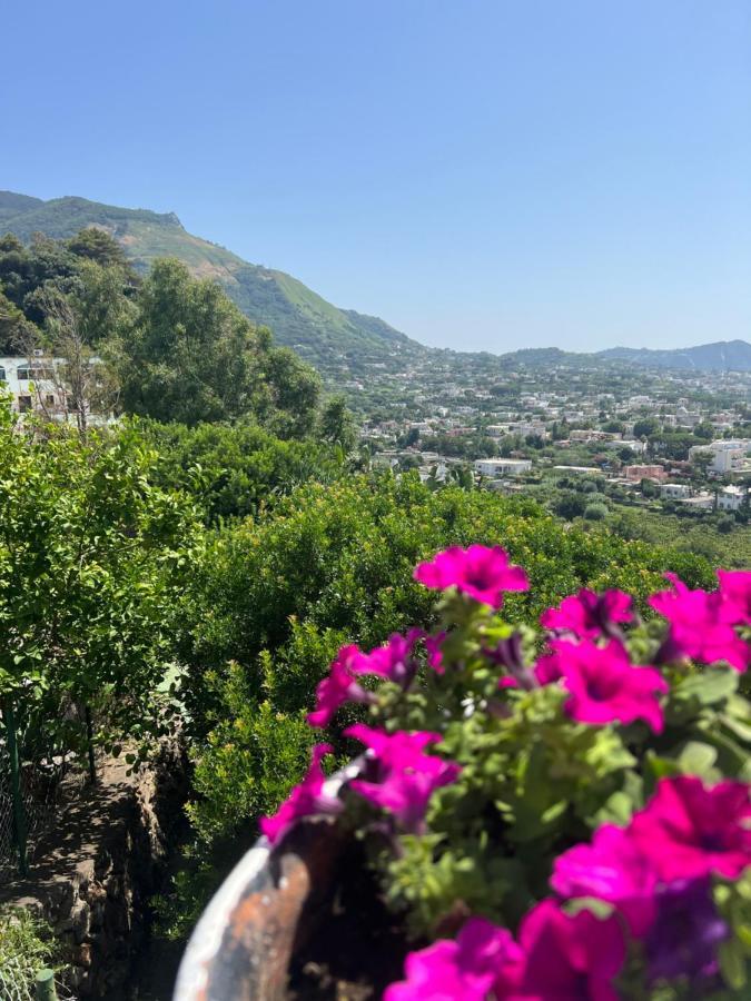Blu Panorama Acomodação com café da manhã Forio di Ischia Exterior foto