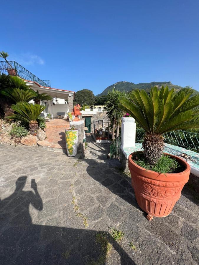 Blu Panorama Acomodação com café da manhã Forio di Ischia Exterior foto